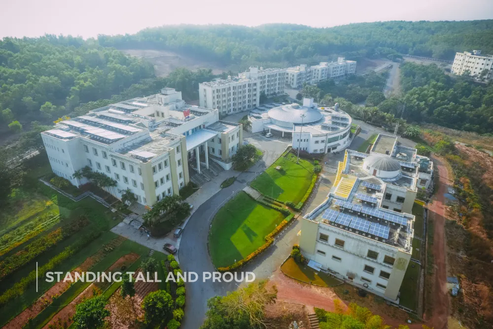 Tapmi-Images07
