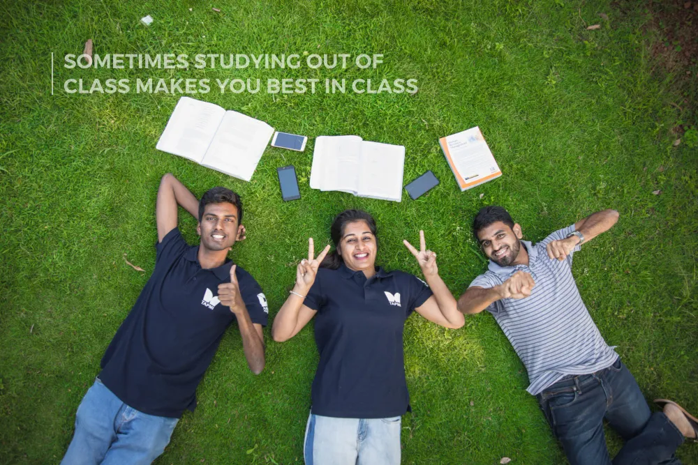 Tapmi-Images32